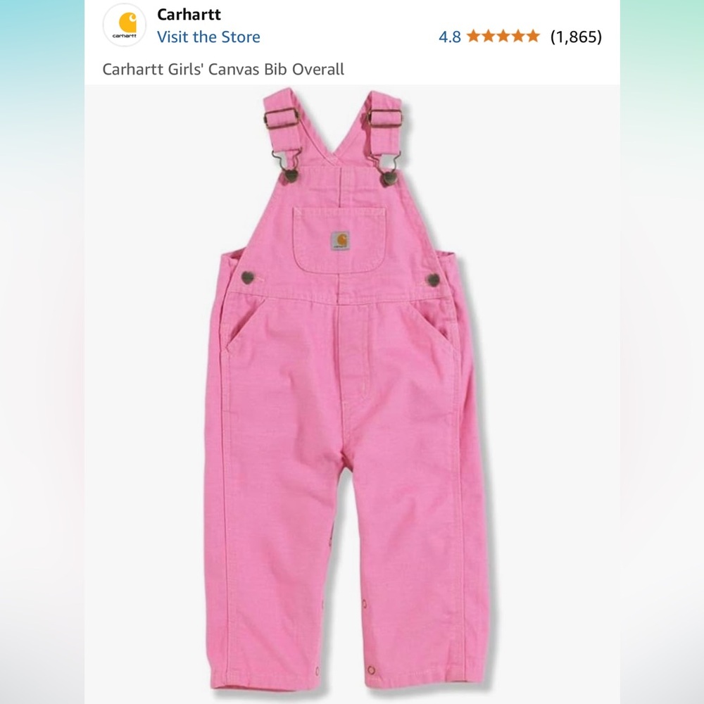 Pink Carhartt Overalls - SOLD‼️
